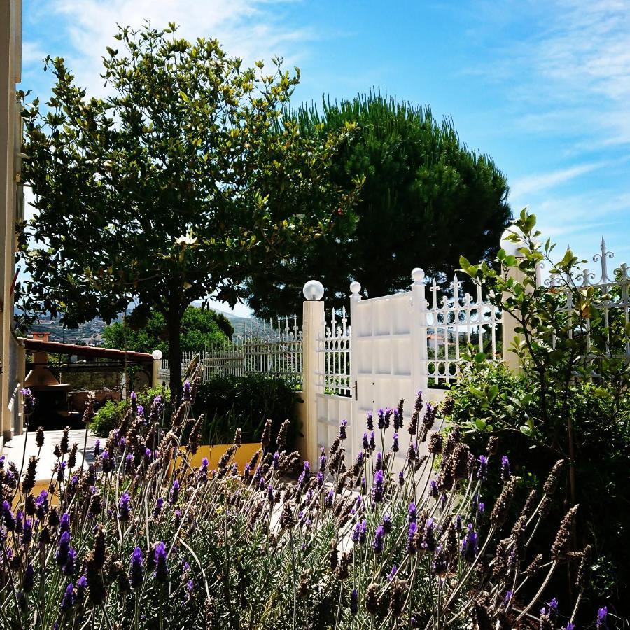 Villa Filoxenia All Seasons, Near Airport, Sea, Athens Agia Marina  Buitenkant foto