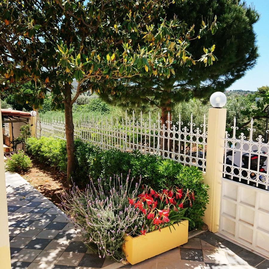 Villa Filoxenia All Seasons, Near Airport, Sea, Athens Agia Marina  Buitenkant foto