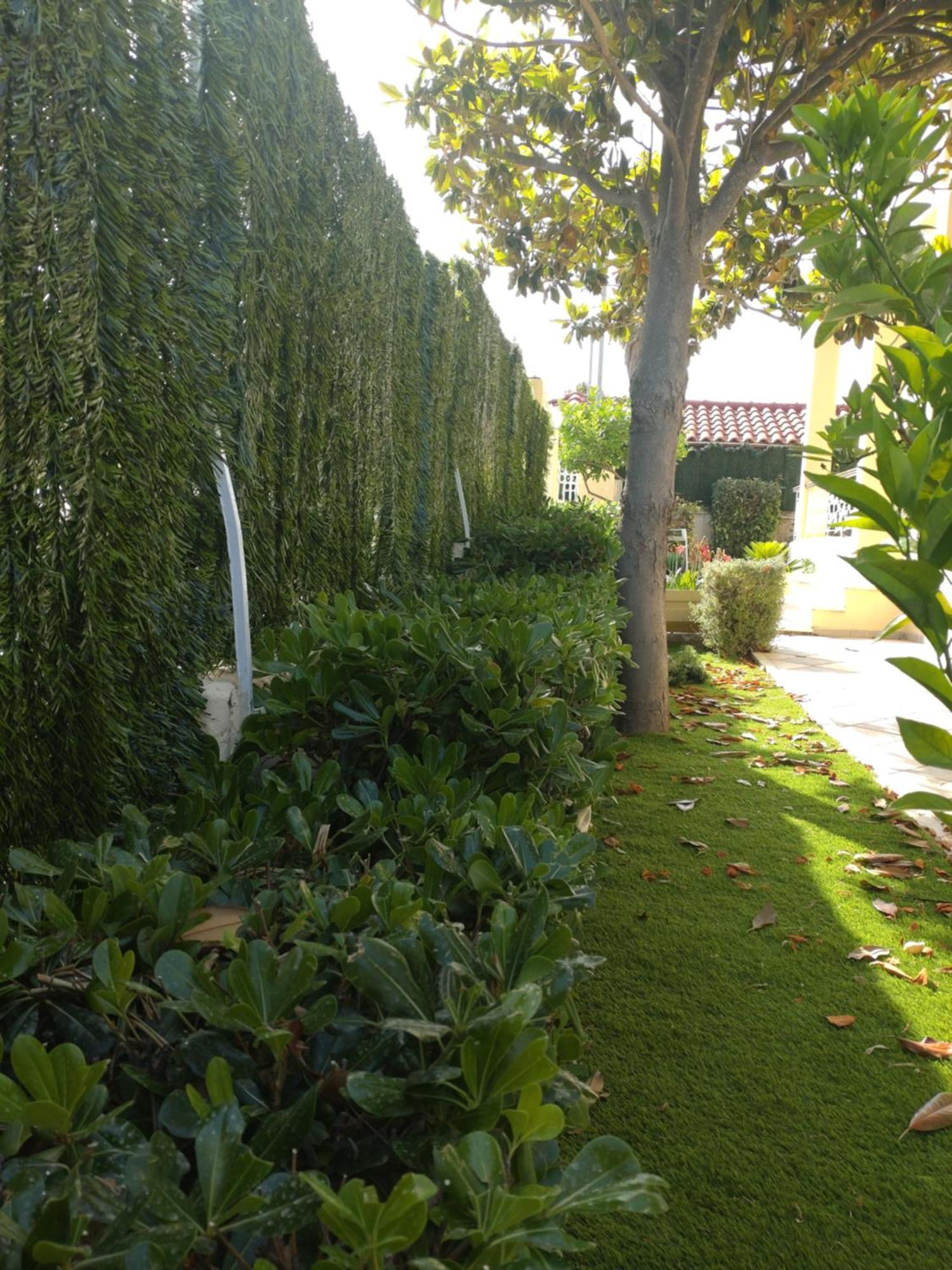 Villa Filoxenia All Seasons, Near Airport, Sea, Athens Agia Marina  Buitenkant foto