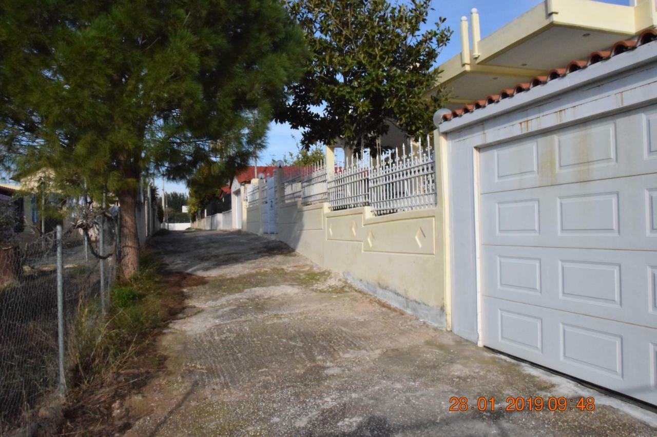 Villa Filoxenia All Seasons, Near Airport, Sea, Athens Agia Marina  Buitenkant foto