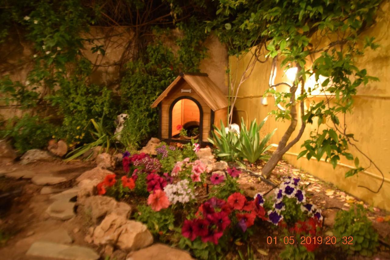 Villa Filoxenia All Seasons, Near Airport, Sea, Athens Agia Marina  Buitenkant foto