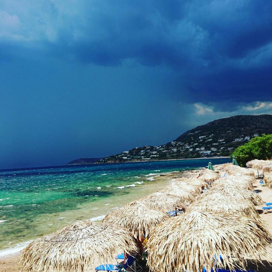 Villa Filoxenia All Seasons, Near Airport, Sea, Athens Agia Marina  Buitenkant foto