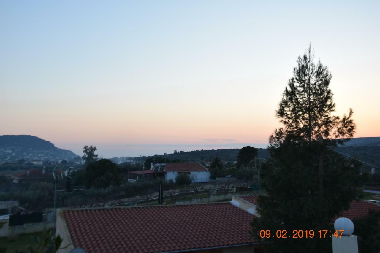 Villa Filoxenia All Seasons, Near Airport, Sea, Athens Agia Marina  Buitenkant foto