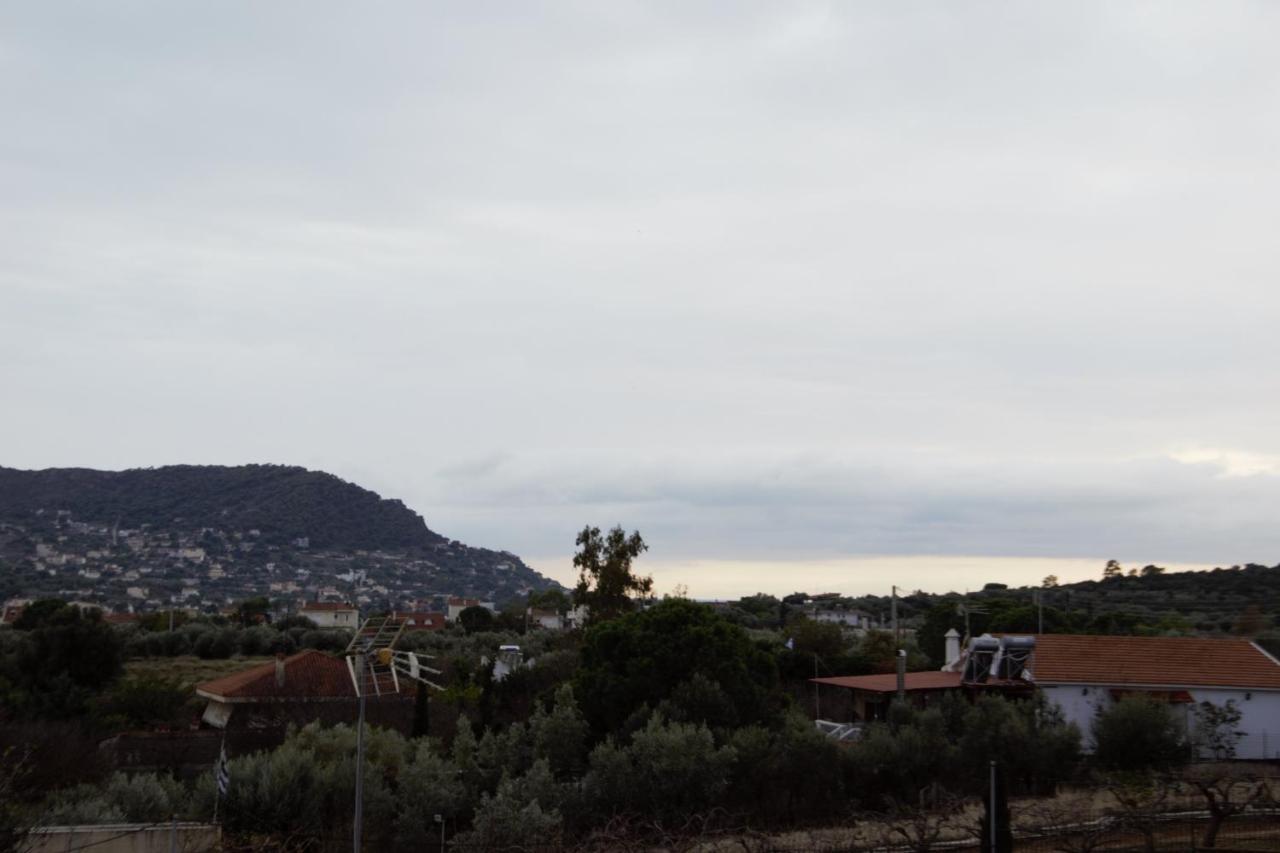 Villa Filoxenia All Seasons, Near Airport, Sea, Athens Agia Marina  Buitenkant foto